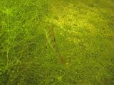 2009-08-01 14-16-35S